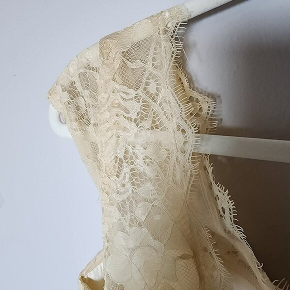 Warm Notices Champagne Lace & Chiffon Cocktail Dress Size 6 Elegant V-Neck - Picture 10 of 13